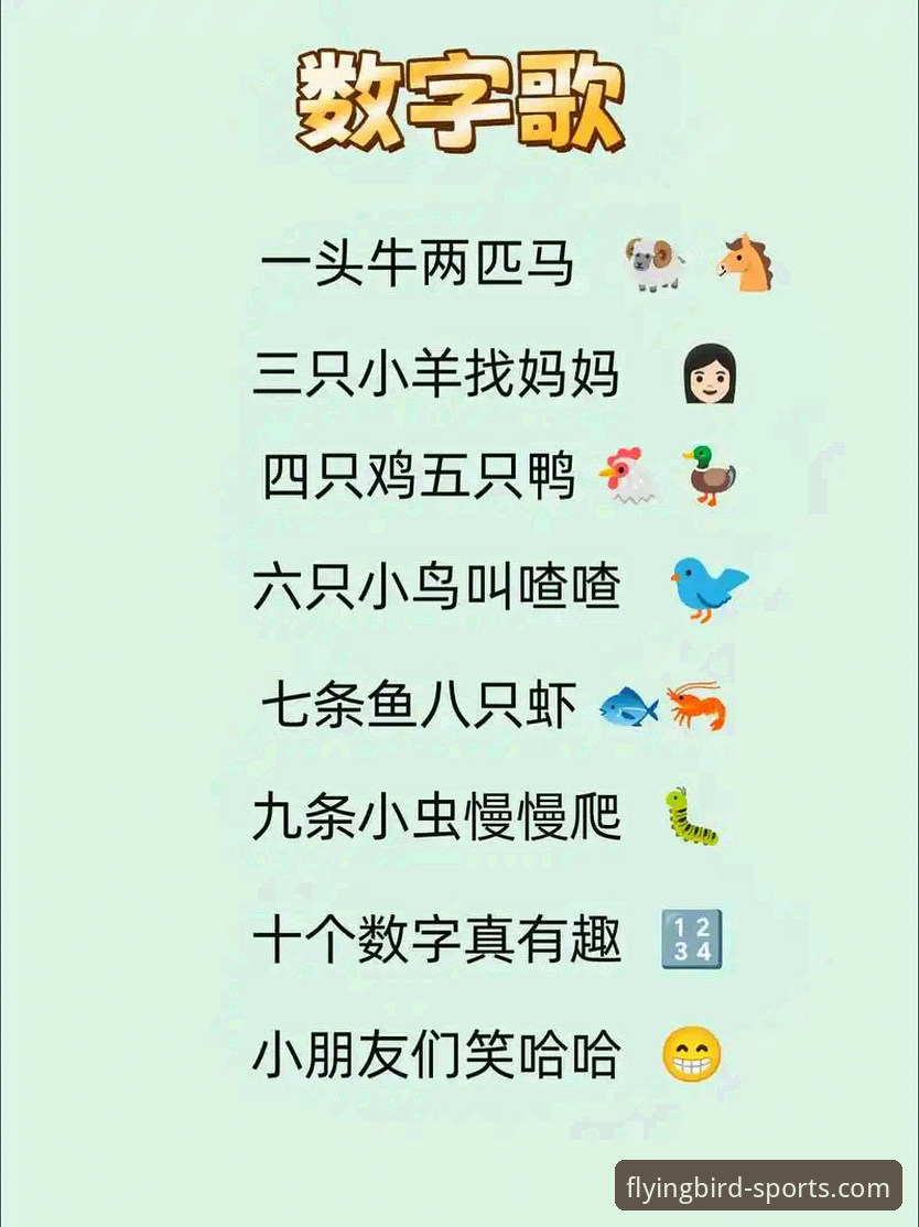 小鸟体育APP下载最新版完整安装与使用指南